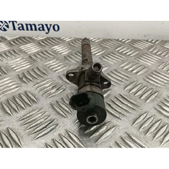 Inyector para Fiat Bravo (198)