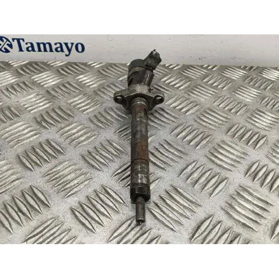 Inyector para Fiat Bravo (198)