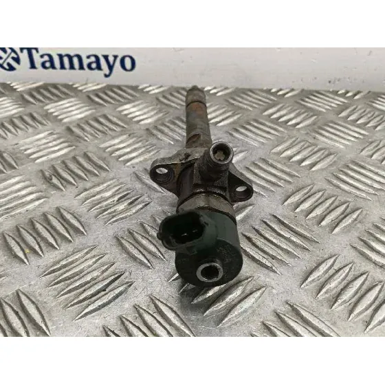 Inyector para Fiat Bravo (198)