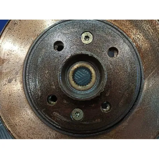 Mangueta Delantera Derecha para Renault Scenic Ii