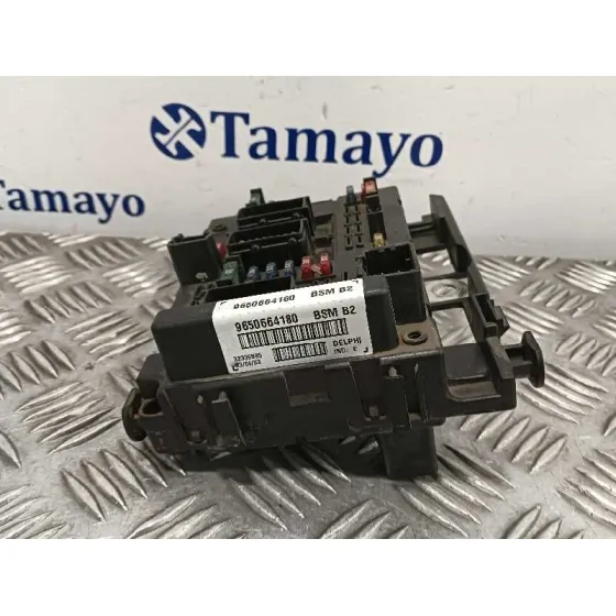 Caja Reles / Fusibles para Peugeot 307 (S1)