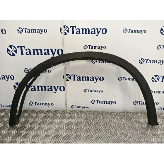 Aletin Delantero Izquierdo para Bmw X6 (F16, F86)