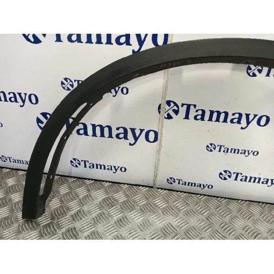 Aletin Delantero Izquierdo para Bmw X6 (F16, F86)