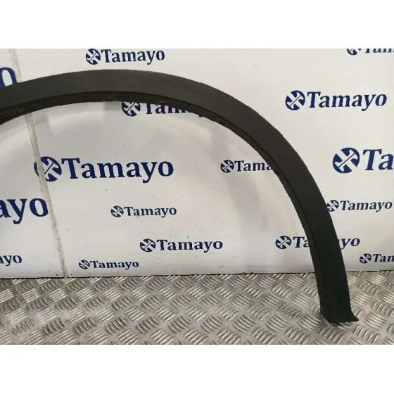 Aletin Delantero Izquierdo para Bmw X6 (F16, F86)