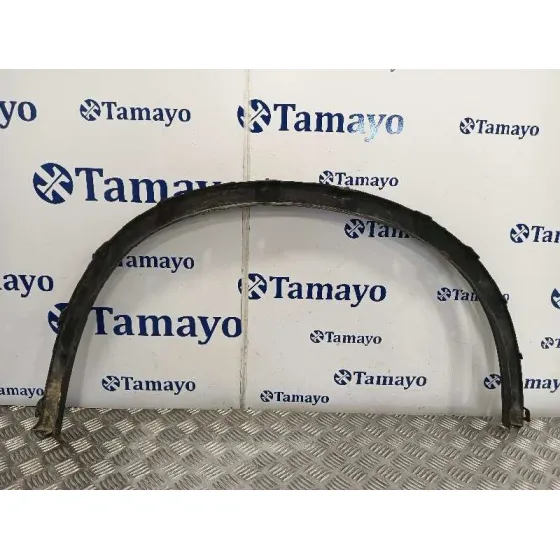 Aletin Delantero Izquierdo para Bmw X6 (F16, F86)