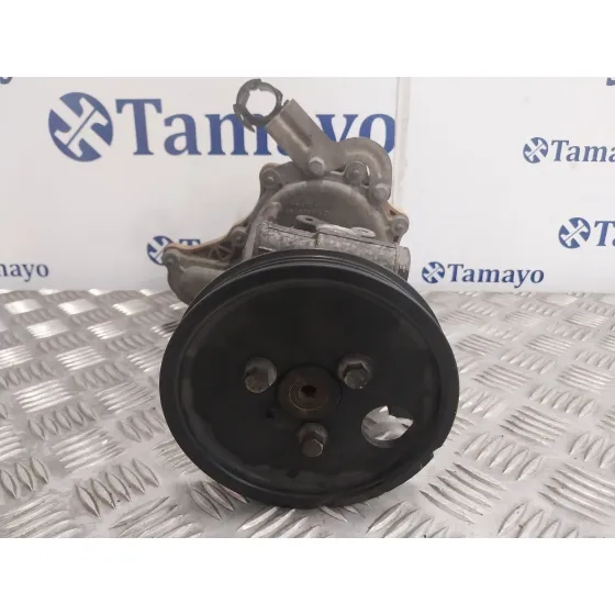 Bomba Direccion para Ford Transit Connect
