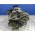 Caja Cambios para Audi A3 (8L)