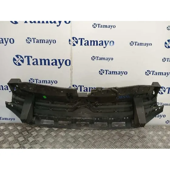 Rejilla Delantera para Citroën C3