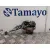 Cerradura Maletero / Porton para Toyota Corolla Verso (R1)