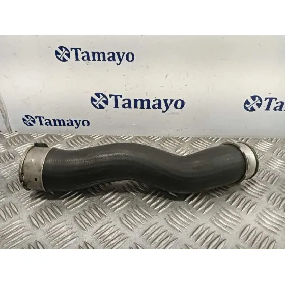Tubo Presion Turbocompresor para Bmw X1 (E84)