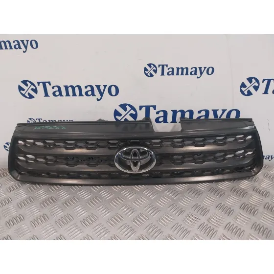 Rejilla Delantera para Toyota Rav 4 (A2)