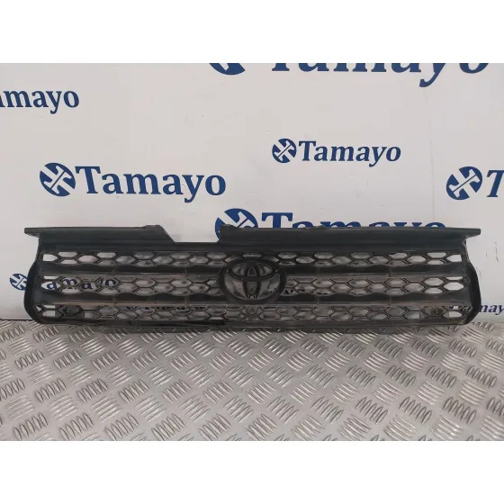 Rejilla Delantera para Toyota Rav 4 (A2)