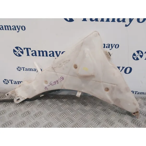 Deposito Limpia para Bmw X6 (F16, F86)