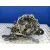 Caja Cambios para Opel Corsa C