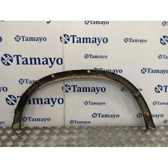Aletin Trasero Izquierdo para Bmw X6 (F16, F86)