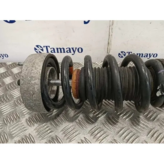 Amortiguador Delantero Derecho para Bmw X6 (F16, F86)