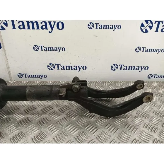 Amortiguador Delantero Derecho para Bmw X6 (F16, F86)