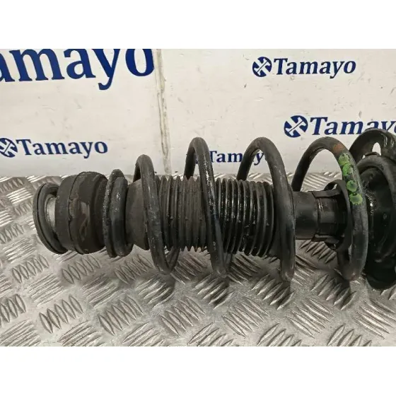 Amortiguador Delantero Izquierdo para Seat Ibiza Sc (6J1)