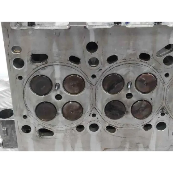 Culata para Fiat Grande Punto (199)