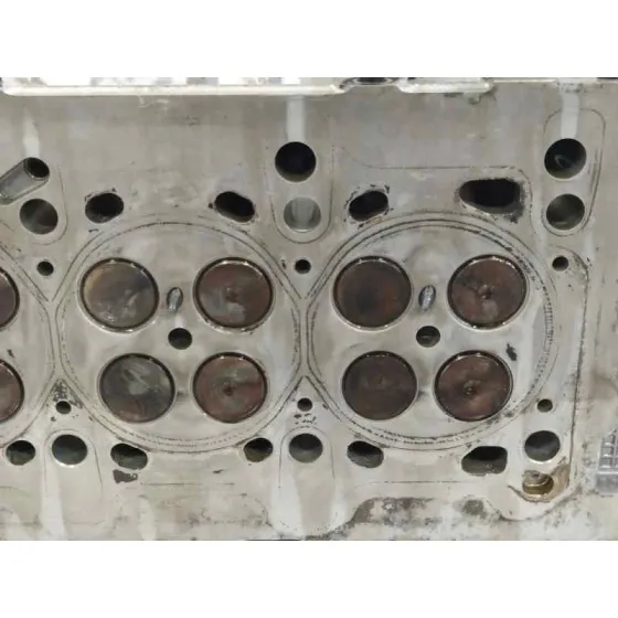 Culata para Fiat Grande Punto (199)