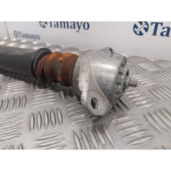 Amortiguador Trasero Derecho para Seat Ibiza Sc (6J1)