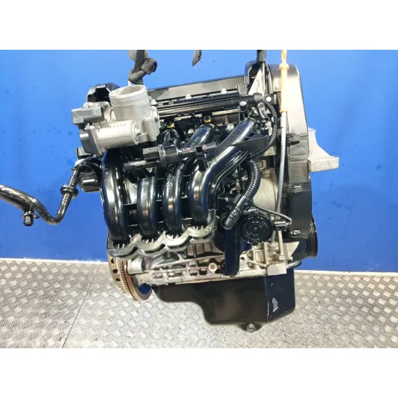 Motor Completo para Seat Ibiza (6J5)