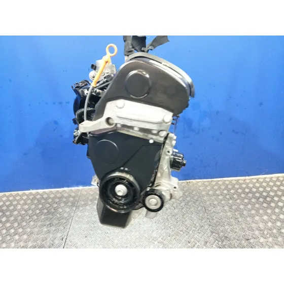 Motor Completo para Seat Ibiza (6J5)