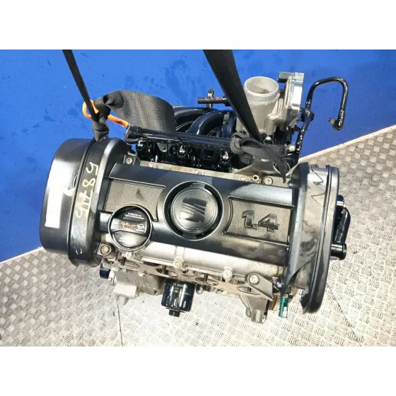 Motor Completo para Seat Ibiza (6J5)