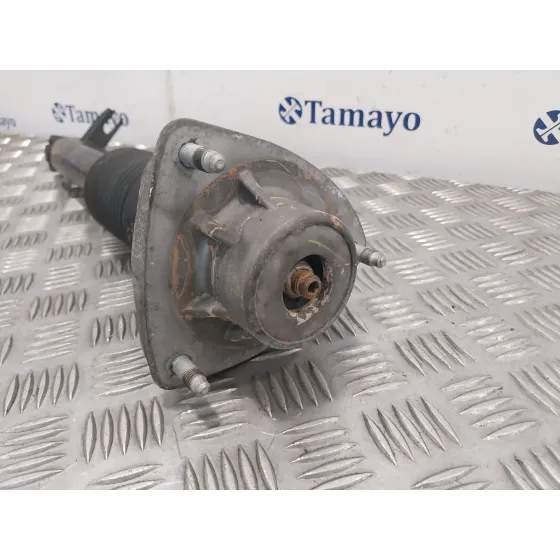 Amortiguador Trasero para Bmw X6 (F16, F86)