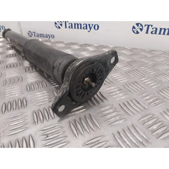 Amortiguador Trasero para Ford S-Max (Ca1)