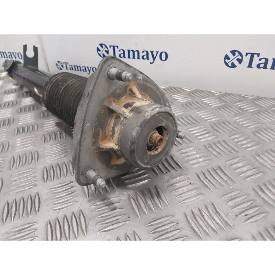 Amortiguador Trasero para Bmw Serie X6M (F86)