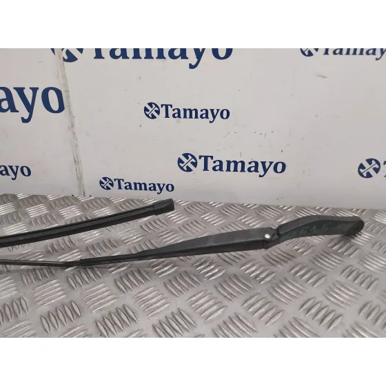 Brazo Limpia Delantero Izquierdo para Renault Captur
