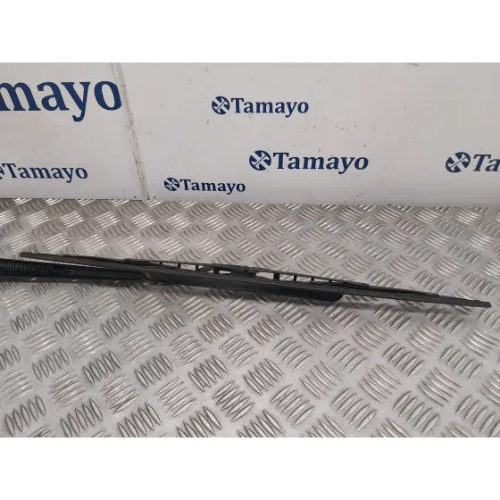 Brazo Limpia Delantero Izquierdo para Bmw X6 (F16, F86)
