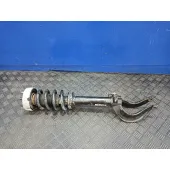 Amortiguador Delantero Izquierdo para Bmw X6 (F16, F86)