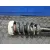 Amortiguador Delantero Izquierdo para Bmw X6 (F16, F86)