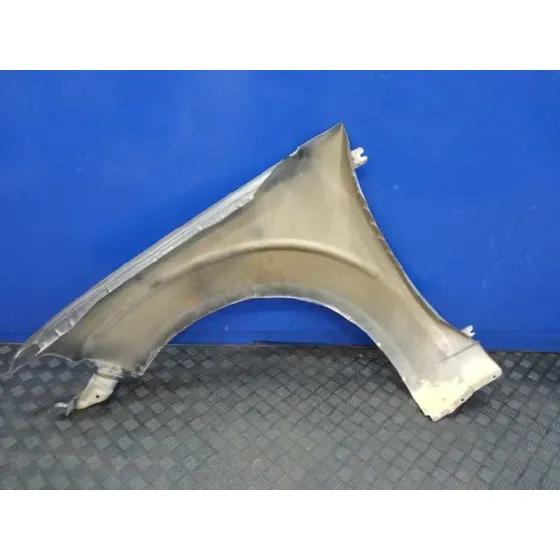 Aleta Delantera Derecha para Nissan Pathfinder (R51)