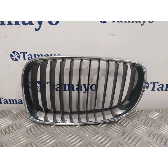 Rejilla Paragolpes Delantero para Bmw Serie 1 Berlina (E81/E87)