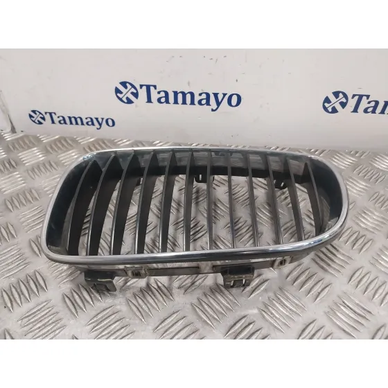 Rejilla Paragolpes Delantero para Bmw Serie 1 Berlina (E81/E87)