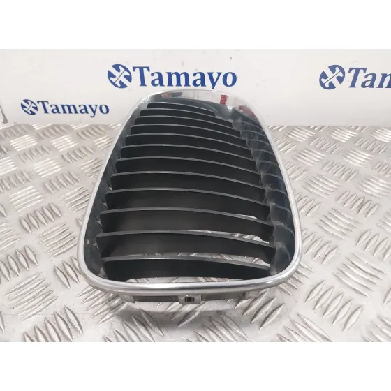Rejilla Paragolpes Delantero para Bmw Serie 1 Berlina (E81/E87)