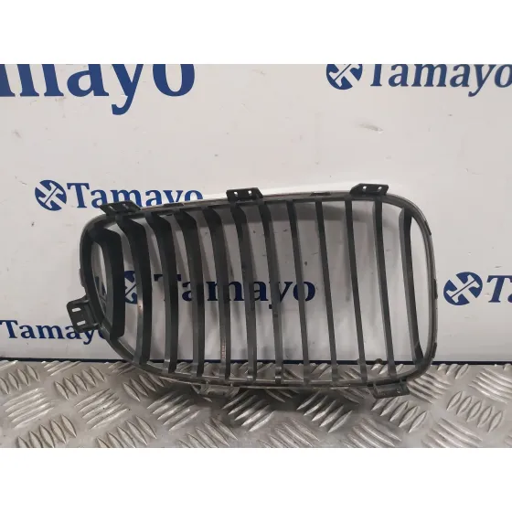 Rejilla Paragolpes Delantero para Bmw Serie 1 Berlina (E81/E87)