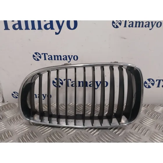Rejilla Paragolpes Delantero para Bmw Serie 1 Berlina (E81/E87)