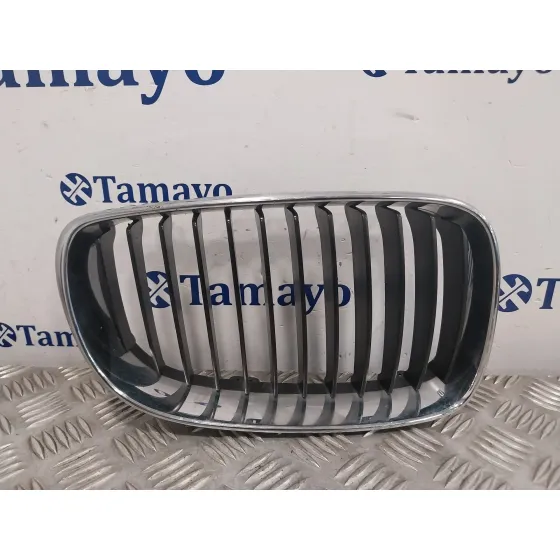 Rejilla Paragolpes Delantero para Bmw Serie 1 Berlina (E81/E87)