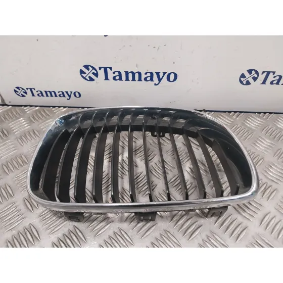 Rejilla Paragolpes Delantero para Bmw Serie 1 Berlina (E81/E87)
