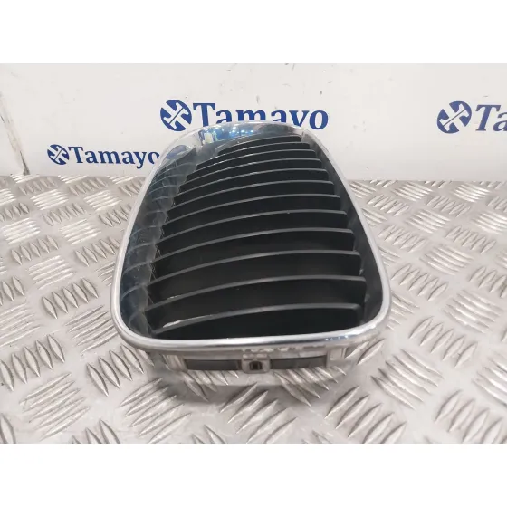 Rejilla Paragolpes Delantero para Bmw Serie 1 Berlina (E81/E87)