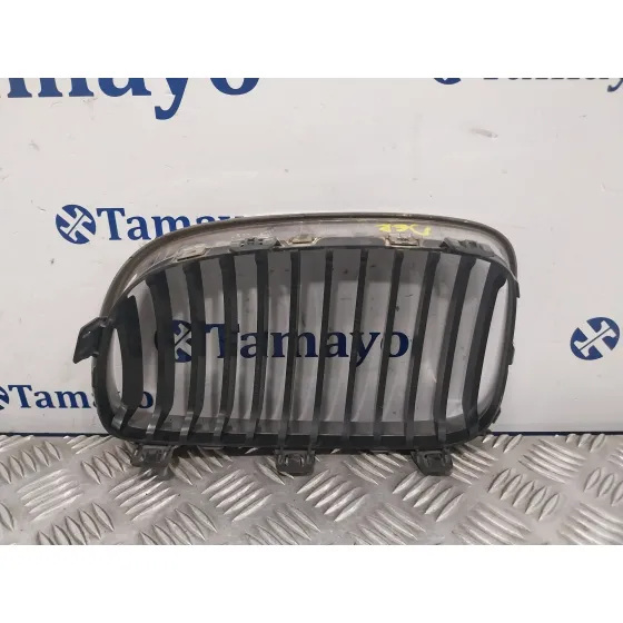 Rejilla Paragolpes Delantero para Bmw Serie 1 Berlina (E81/E87)