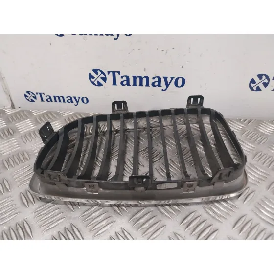 Rejilla Paragolpes Delantero para Bmw Serie 1 Berlina (E81/E87)