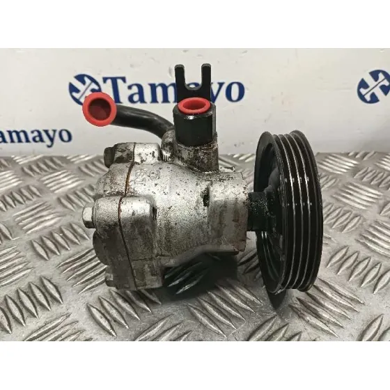 Bomba Direccion para Hyundai Getz (Tb)