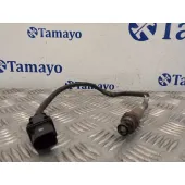 Sonda Lambda para Bmw X6 (F16, F86)