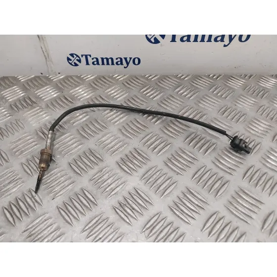 Sonda Lambda para Bmw X6 (F16, F86)