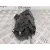 Cerradura Puerta Trasera Derecha para Seat Ibiza (Kj1)